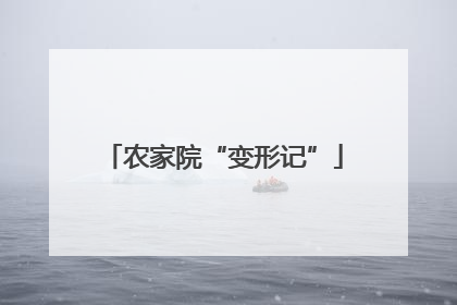 农家院“变形记”