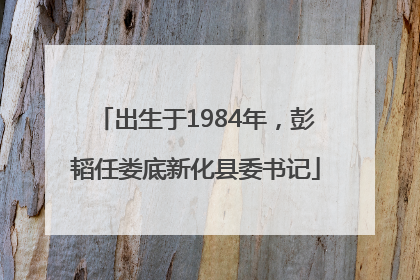 出生于1984年，彭韬任娄底新化县委书记