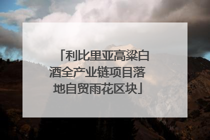 利比里亚高粱白酒全产业链项目落地自贸雨花区块