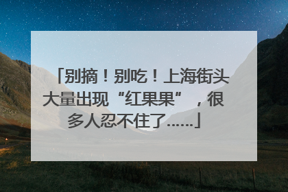 别摘！别吃！上海街头大量出现“红果果”，很多人忍不住了……