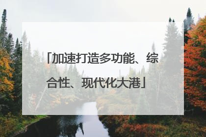 加速打造多功能、综合性、现代化大港