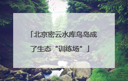 北京密云水库鸟岛成了生态“训练场”