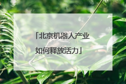 北京机器人产业如何释放活力