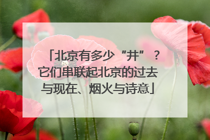 北京有多少“井”？它们串联起北京的过去与现在、烟火与诗意