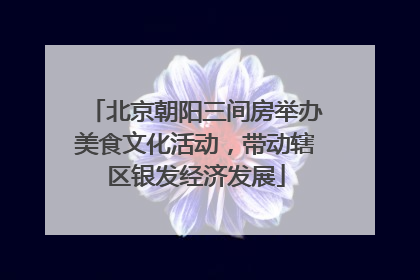 北京朝阳三间房举办美食文化活动，带动辖区银发经济发展