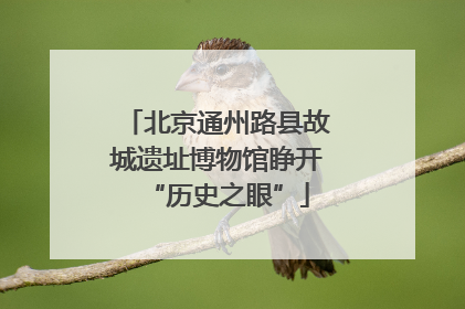 北京通州路县故城遗址博物馆睁开“历史之眼”