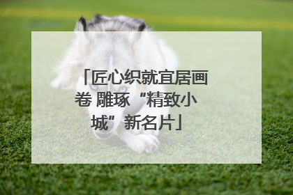 匠心织就宜居画卷 雕琢“精致小城”新名片