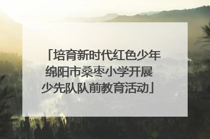 培育新时代红色少年 绵阳市桑枣小学开展少先队队前教育活动