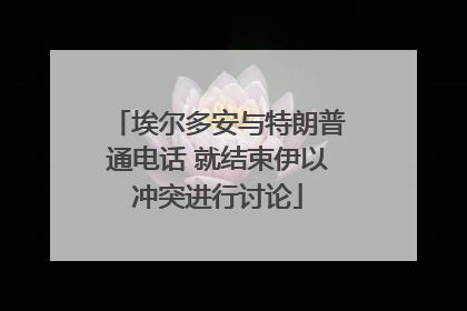 埃尔多安与特朗普通电话 就结束伊以冲突进行讨论