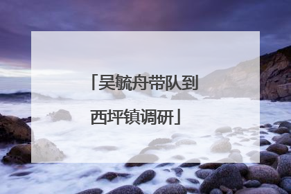 吴毓舟带队到西坪镇调研