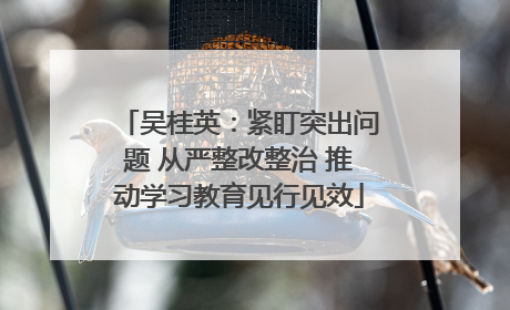 吴桂英：紧盯突出问题 从严整改整治 推动学习教育见行见效