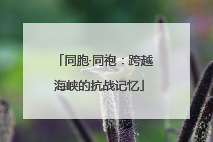同胞·同袍：跨越海峡的抗战记忆