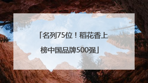 名列75位！稻花香上榜中国品牌500强