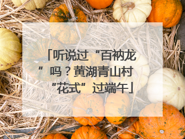 听说过“百衲龙”吗？黄湖青山村“花式”过端午