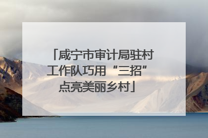 咸宁市审计局驻村工作队巧用“三招”点亮美丽乡村