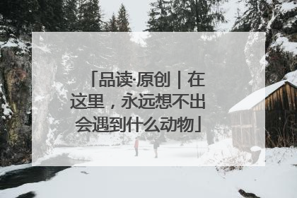 品读·原创｜在这里，永远想不出会遇到什么动物