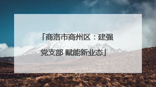 商洛市商州区：建强党支部 赋能新业态