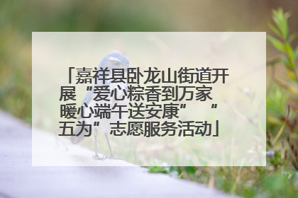 嘉祥县卧龙山街道开展“爱心粽香到万家 暖心端午送安康” “五为”志愿服务活动