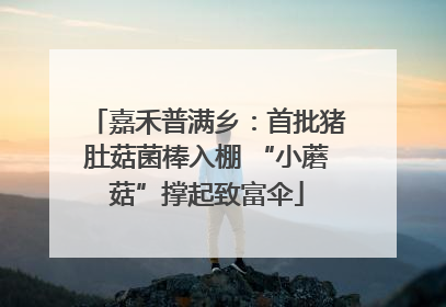 嘉禾普满乡：首批猪肚菇菌棒入棚 “小蘑菇”撑起致富伞