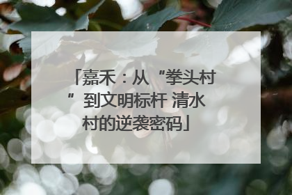 嘉禾：从“拳头村”到文明标杆 清水村的逆袭密码