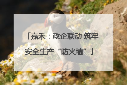 嘉禾：政企联动 筑牢安全生产“防火墙”