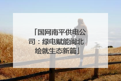 国网南平供电公司：绿电赋能闽北 绘就生态新篇