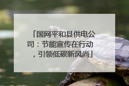 国网平和县供电公司：节能宣传在行动，引领低碳新风尚