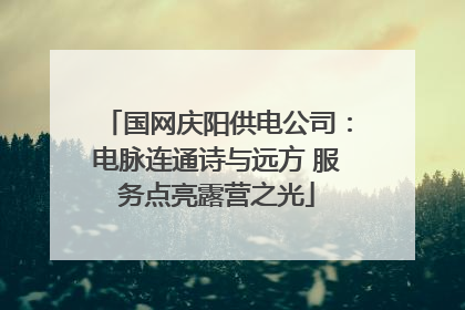 国网庆阳供电公司：电脉连通诗与远方 服务点亮露营之光