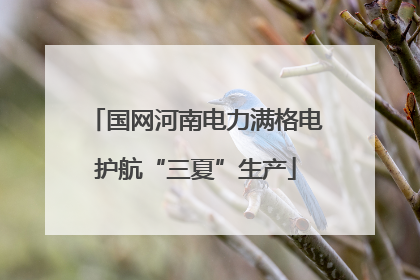 国网河南电力满格电护航“三夏”生产