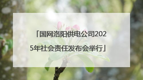 国网洛阳供电公司2025年社会责任发布会举行