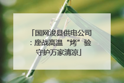 国网浚县供电公司：鏖战高温“烤”验 守护万家清凉