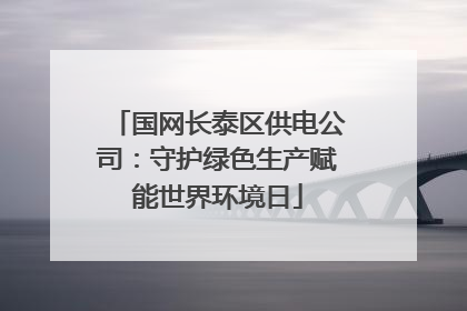 国网长泰区供电公司：守护绿色生产赋能世界环境日