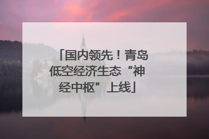 国内领先！青岛低空经济生态“神经中枢”上线