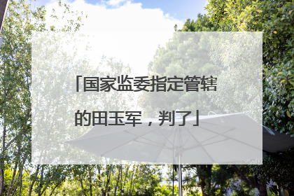 国家监委指定管辖的田玉军，判了