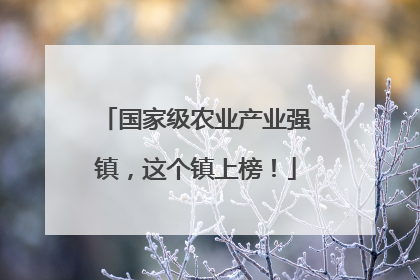 国家级农业产业强镇，这个镇上榜！