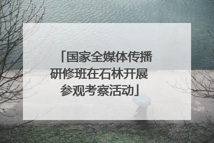国家全媒体传播研修班在石林开展参观考察活动