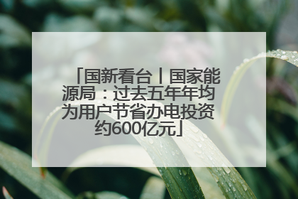 国新看台丨国家能源局：过去五年年均为用户节省办电投资约600亿元
