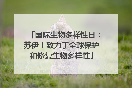 国际生物多样性日：苏伊士致力于全球保护和修复生物多样性