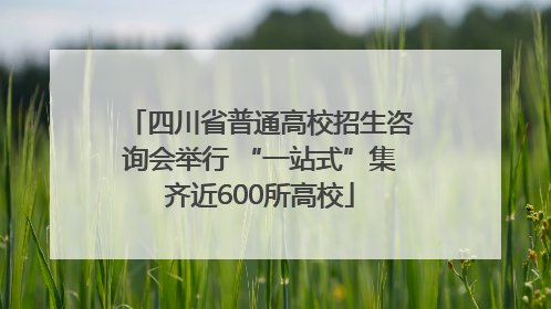 四川省普通高校招生咨询会举行 “一站式”集齐近600所高校