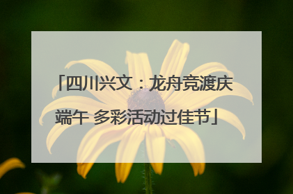 四川兴文：龙舟竞渡庆端午 多彩活动过佳节