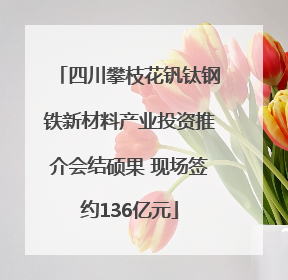 四川攀枝花钒钛钢铁新材料产业投资推介会结硕果 现场签约136亿元