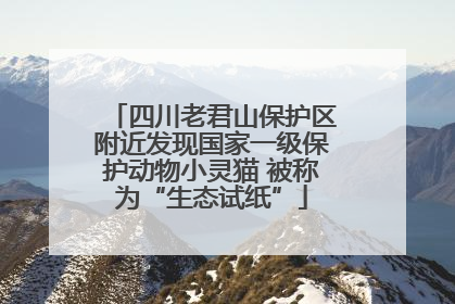 四川老君山保护区附近发现国家一级保护动物小灵猫 被称为“生态试纸”