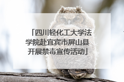 四川轻化工大学法学院赴宜宾市屏山县开展禁毒宣传活动