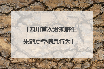 四川首次发现野生朱鹮夏季栖息行为