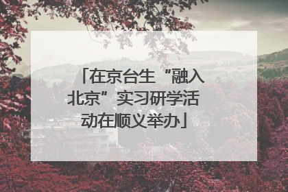 在京台生“融入北京”实习研学活动在顺义举办