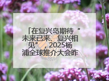 在复兴岛期待“未来已来、复兴相见”，2025杨浦全球推介大会昨晚举行