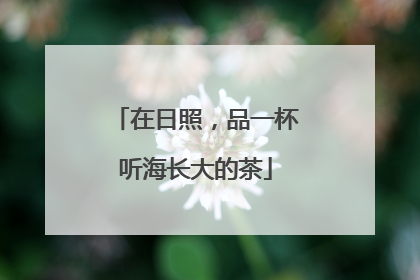 在日照，品一杯听海长大的茶