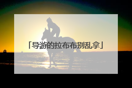 导游的拉布布别乱拿