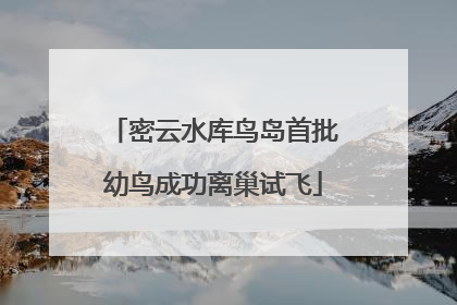 密云水库鸟岛首批幼鸟成功离巢试飞