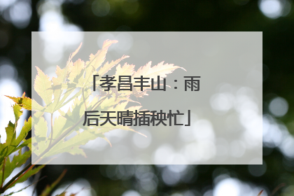 孝昌丰山：雨后天晴插秧忙